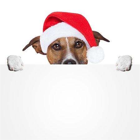 simsearch:400-08898663,k - christmas banner placeholder dog Photographie de stock - Aubaine LD & Abonnement, Code: 400-07208440