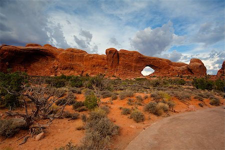 simsearch:400-06918860,k - Scenes from famous Arches National Park, Moab,Utah,USA Stock Photo - Budget Royalty-Free & Subscription, Code: 400-07208998