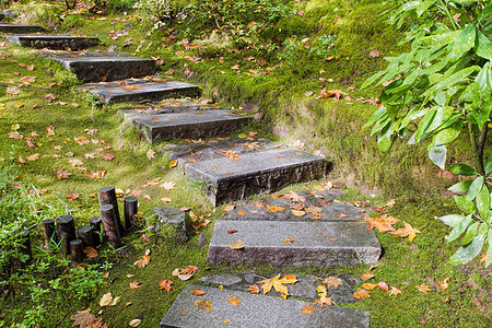 Asian Inspired Japanese Garden Granite Slabs Stone Steps with Moss and Fall Leaves Stock Photo - Budget Royalty-Free & Subscription, Code: 400-07209063