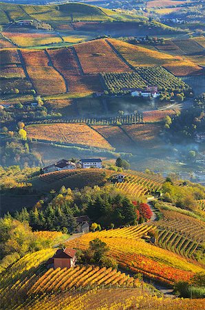 simsearch:6129-09044096,k - Vertical oriented image of rural houses on autumnal hills among vineyards of Langhe in Piedmont, Northern Italy (view from above). Stock Photo - Budget Royalty-Free & Subscription, Code: 400-07209213