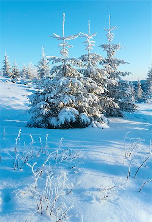 simsearch:400-07101023,k - Sunrise and winter mountain landscape with snow covered trees on slope Photographie de stock - Aubaine LD & Abonnement, Code: 400-07209727