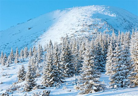 simsearch:400-07101023,k - Sunrise and winter mountain landscape with snow covered trees on slope Photographie de stock - Aubaine LD & Abonnement, Code: 400-07209728