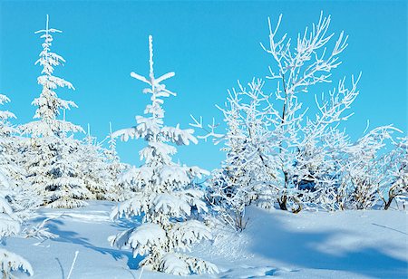 simsearch:400-06861143,k - Sunrise and winter  landscape with snowy trees on hill Foto de stock - Super Valor sin royalties y Suscripción, Código: 400-07209729