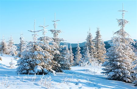 simsearch:400-07101023,k - Sunrise and winter mountain landscape with snow covered trees on slope Photographie de stock - Aubaine LD & Abonnement, Code: 400-07209730