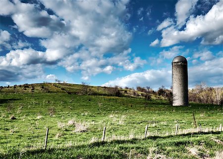 This image was taken in Madison County of Iowa.  The image shows of a bright green pasture with a classic silo. Stockbilder - Microstock & Abonnement, Bildnummer: 400-07209920