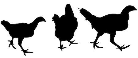 simsearch:400-08833742,k - chicken silhouette vector Stock Photo - Budget Royalty-Free & Subscription, Code: 400-07214005