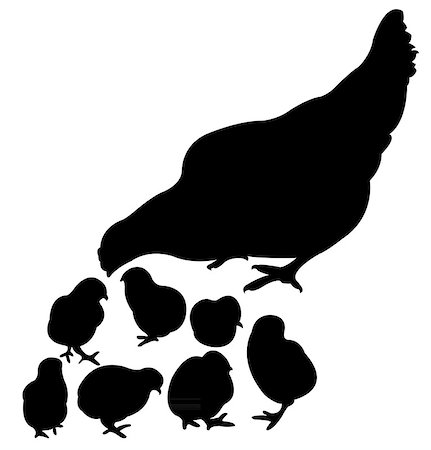 simsearch:400-04351992,k - chicken silhouette vector Stock Photo - Budget Royalty-Free & Subscription, Code: 400-07214006