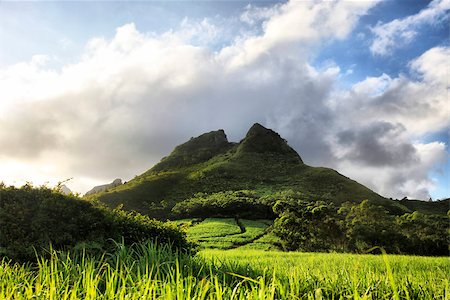 simsearch:400-06566375,k - Mountain on a background of the sky. Mauritius Foto de stock - Super Valor sin royalties y Suscripción, Código: 400-07214454
