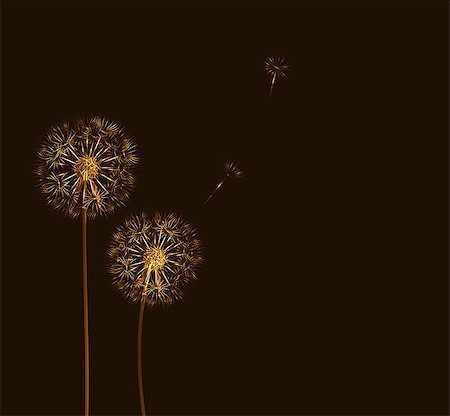 dandelion blowing in the wind - abstract dandelion background  vector illustration Stock Photo - Budget Royalty-Free & Subscription, Code: 400-07214782