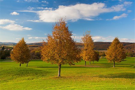 simsearch:6129-09044008,k - Autumn landscape at sunset Foto de stock - Super Valor sin royalties y Suscripción, Código: 400-07215034