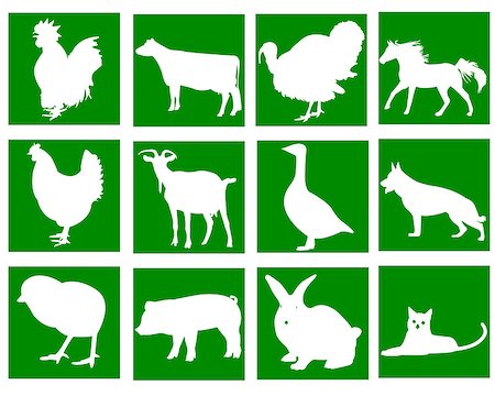 domestic animals in the green squares on a white background Foto de stock - Super Valor sin royalties y Suscripción, Código: 400-07215184