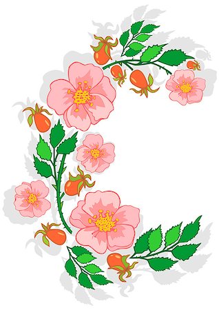 flower border design of rose - Illustration of abstract pink roses frame Foto de stock - Super Valor sin royalties y Suscripción, Código: 400-07215429
