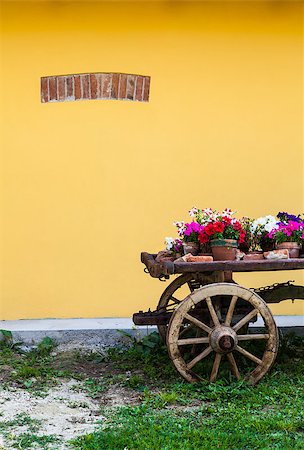 simsearch:400-07212378,k - Very elegant way to show flowers in Tuscany - Italy Stock Photo - Budget Royalty-Free & Subscription, Code: 400-07215487