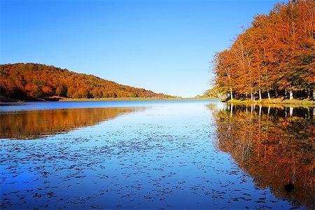 Autumn landscape with colorful forest and lake Foto de stock - Royalty-Free Super Valor e Assinatura, Número: 400-07216493
