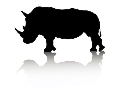 rhino animal on white background Foto de stock - Super Valor sin royalties y Suscripción, Código: 400-07218226