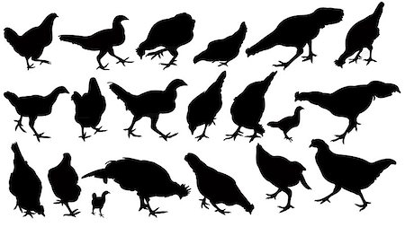 simsearch:400-04578495,k - chickens and roosters, silhouettes vector, collage set Foto de stock - Super Valor sin royalties y Suscripción, Código: 400-07218602