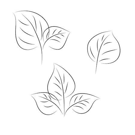 Sketch of leaves on a white. Vector illustration. Foto de stock - Super Valor sin royalties y Suscripción, Código: 400-07218800