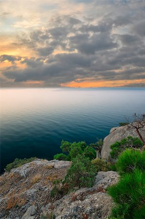 simsearch:400-07248425,k - tree growing on a rock against the sea view Photographie de stock - Aubaine LD & Abonnement, Code: 400-07210754