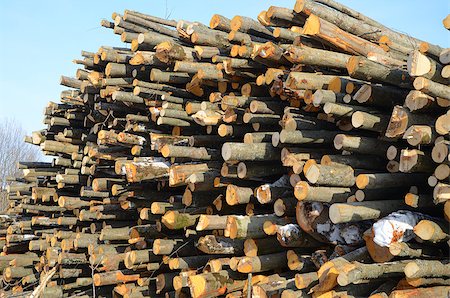 simsearch:400-05736665,k - Background of firewood stacked in the woodpile Fotografie stock - Microstock e Abbonamento, Codice: 400-07211333
