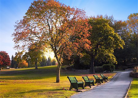 Bench in the autumn park Stock Photo - Budget Royalty-Free & Subscription, Code: 400-07211400