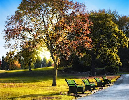 Sunny autumn park Stock Photo - Budget Royalty-Free & Subscription, Code: 400-07211610