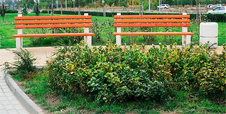 New wooden benches in a park Stock Photo - Budget Royalty-Free & Subscription, Code: 400-07211869