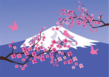 simsearch:400-04778102,k - vector cherry blossom and Fuji mountain Fotografie stock - Microstock e Abbonamento, Codice: 400-07213391