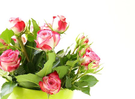 simsearch:689-03124889,k - pink roses in   vase on a white background Photographie de stock - Aubaine LD & Abonnement, Code: 400-07213428