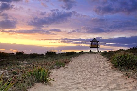 simsearch:400-07667033,k - Sandy beach path leading to South Entrance Beach on the Central Coast of NSW, Australia on a beautiful summer sunrise. Stock Photo - Budget Royalty-Free & Subscription, Code: 400-07224082