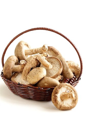 simsearch:400-07038465,k - organic natural raw mushrooms agaric honey Photographie de stock - Aubaine LD & Abonnement, Code: 400-07221408