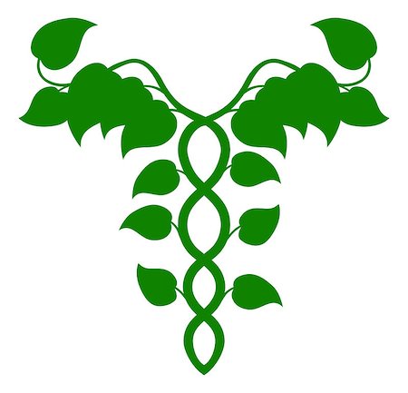 Illustration of a caduceus made up of vines, DNA or holistic medicine concept Stock Photo - Budget Royalty-Free & Subscription, Code: 400-07221656