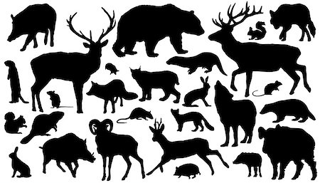 twenty-seven forest animal silhouettes on the white background Stock Photo - Budget Royalty-Free & Subscription, Code: 400-07222671