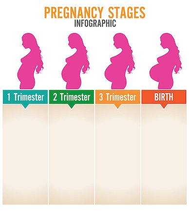 simsearch:400-08529613,k - Pregnancy stages. Vector illustration. Stock Photo - Budget Royalty-Free & Subscription, Code: 400-07222695
