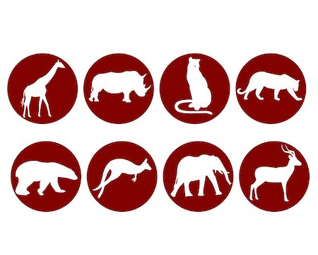 wild animals on a white background Photographie de stock - Aubaine LD & Abonnement, Code: 400-07222956