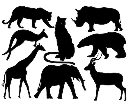 wildlife animals on a white background Foto de stock - Super Valor sin royalties y Suscripción, Código: 400-07222957