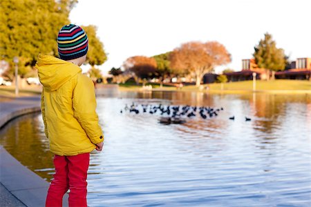 simsearch:400-05875962,k - little boy watching birds by the pond Photographie de stock - Aubaine LD & Abonnement, Code: 400-07223945