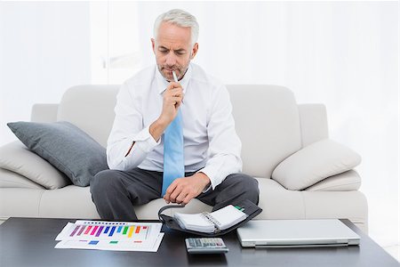 Concentrated mature businessman with graphs and diary sitting in the living room at home Stock Photo - Budget Royalty-Free & Subscription, Code: 400-07230759