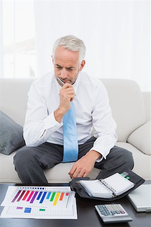 Concentrated mature businessman with graphs and diary sitting in the living room at home Stock Photo - Budget Royalty-Free & Subscription, Code: 400-07230760