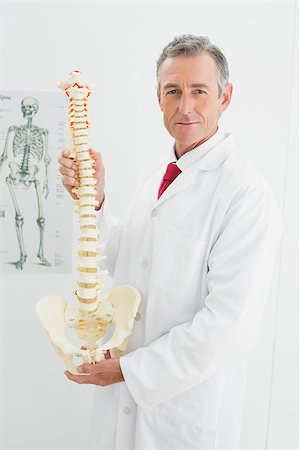 simsearch:614-06898452,k - Portrait of a confident male doctor holding skeleton model in his office Stock Photo - Budget Royalty-Free & Subscription, Code: 400-07230937