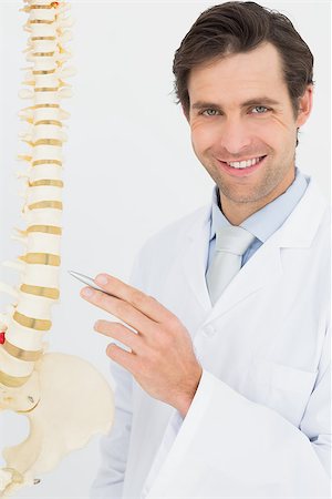 doctor bone model - Portrait of a smiling male doctor with skeleton model over white background Stock Photo - Budget Royalty-Free & Subscription, Code: 400-07231944