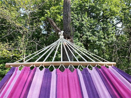 suljo (artist) - Hammock on the Tree Near Forrest Foto de stock - Super Valor sin royalties y Suscripción, Código: 400-07244184