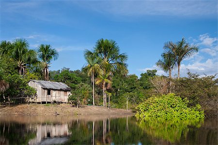 simsearch:855-06313253,k - Small hut on the Amazon river. Stockbilder - Microstock & Abonnement, Bildnummer: 400-07244622