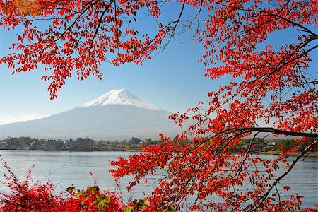 simsearch:400-07419172,k - Mt Fuji in the Fall season. Foto de stock - Royalty-Free Super Valor e Assinatura, Número: 400-07245031