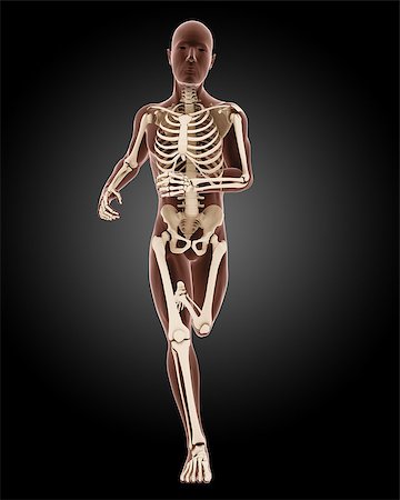simsearch:400-04280645,k - 3D render of a running male medical skeleton Photographie de stock - Aubaine LD & Abonnement, Code: 400-07245170
