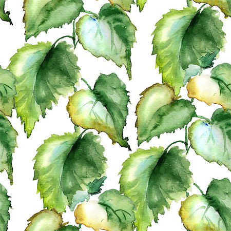 simsearch:622-06369308,k - Seamless wallpaper with Stinging nettle, watercolor illustration Stock Photo - Budget Royalty-Free & Subscription, Code: 400-07245387