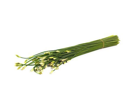 simsearch:400-05678242,k - flowering garlic chives isolated on white background Foto de stock - Super Valor sin royalties y Suscripción, Código: 400-07246029