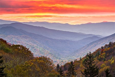 simsearch:400-07090796,k - Autumn sunrise in the Smoky Mountains National Park. Stock Photo - Budget Royalty-Free & Subscription, Code: 400-07246643