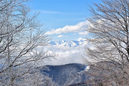 simsearch:400-08108630,k - Winter on the mountain from Macedonia - Europe Photographie de stock - Aubaine LD & Abonnement, Code: 400-07246838