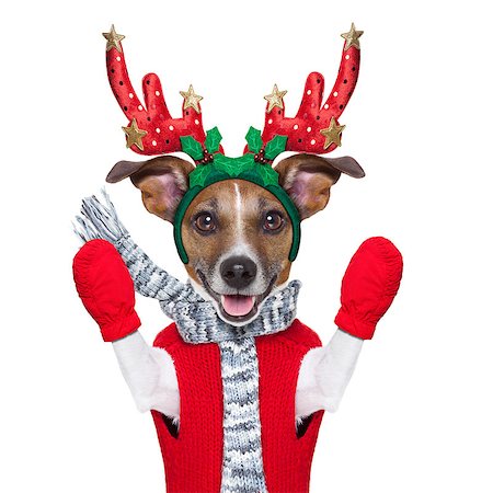 simsearch:400-07050961,k - reindeer dog with red gloves and pullover Stock Photo - Budget Royalty-Free & Subscription, Code: 400-07247014