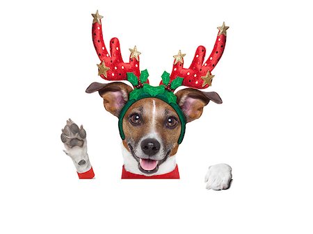 dog christmas background - reindeer dog behind a blank banner with waving with paw Stock Photo - Budget Royalty-Free & Subscription, Code: 400-07247050